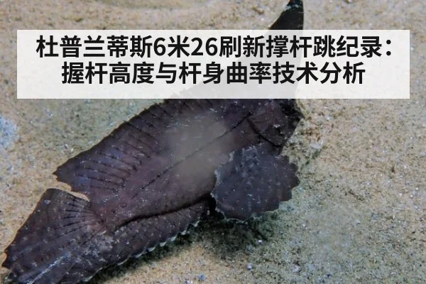 杜普兰蒂斯6米26刷新撑杆跳纪录：握杆高度与杆身曲率技术分析